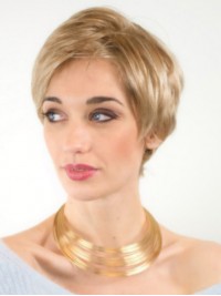 Prachtige Korte Blonde Synthetische Rechte Lace Front Pruiken