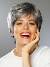 Hoge Kwaliteit Grijze Lace Front Synthetische Rechte Pruiken