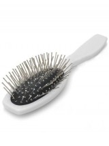 Wit Zilver Massage Platte Borstel