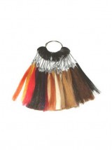 Ring Voor Kleur Van Mensenhaar