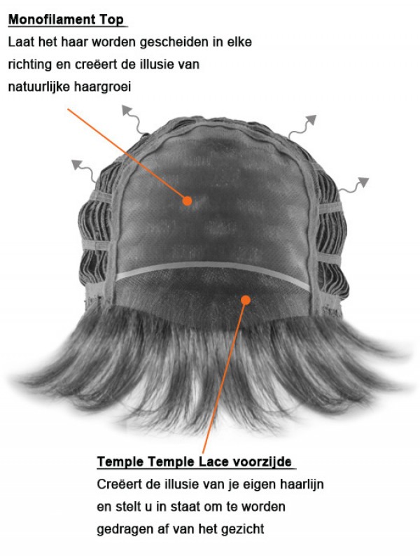 Ombre Monofilament Pruiken Met Schouderlengte Van 14" Gelaagd En Steil Haar